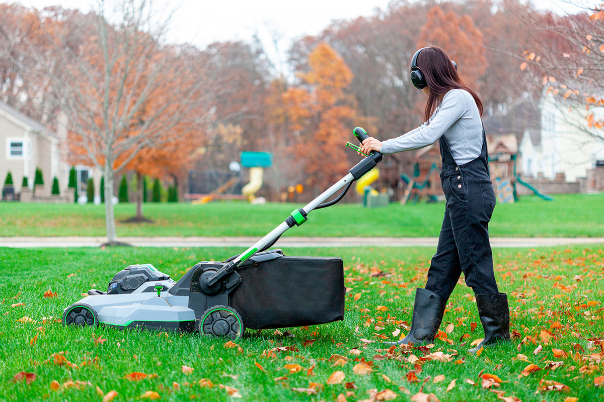 tondre sa pelouse en hiver