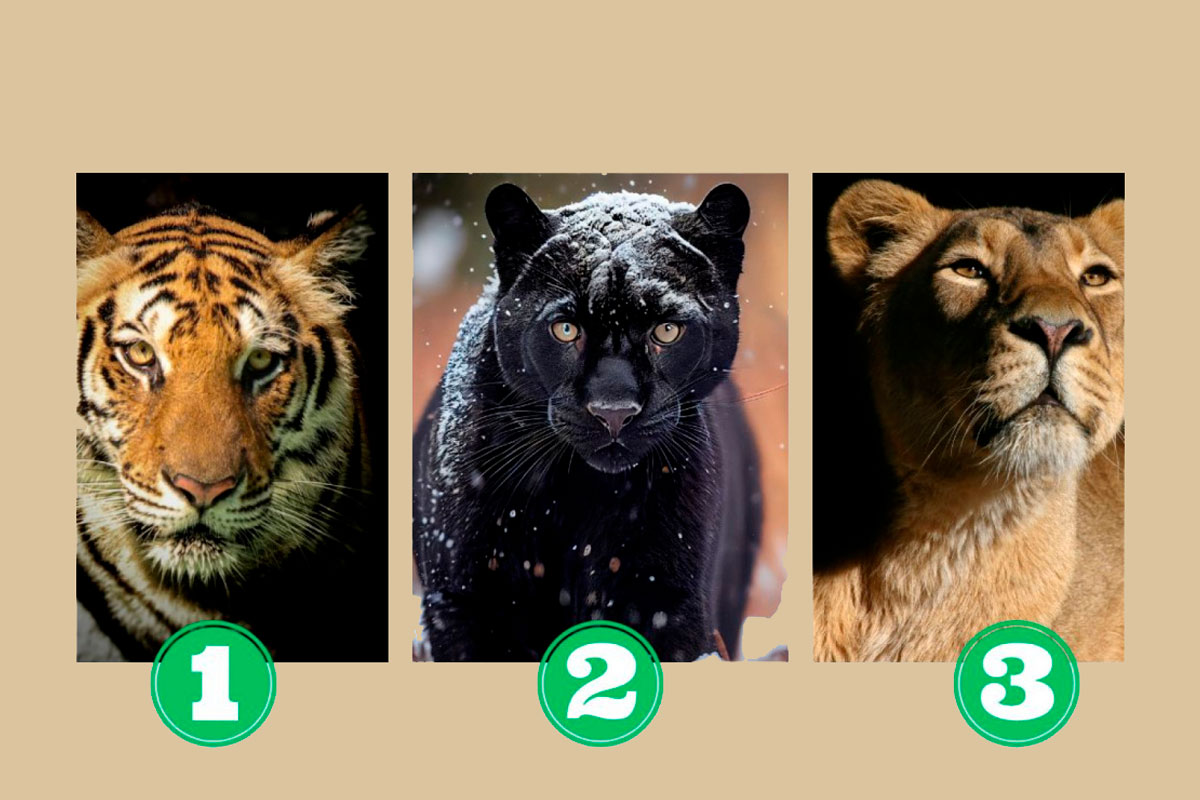 test-de-personnalite-felin