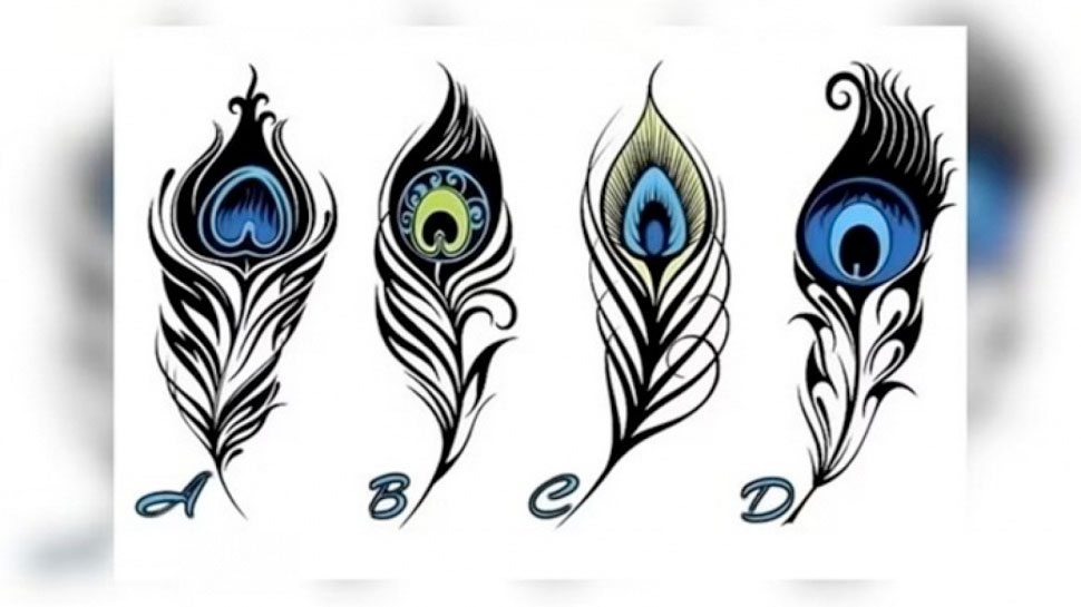 test-de-personnalité-plume