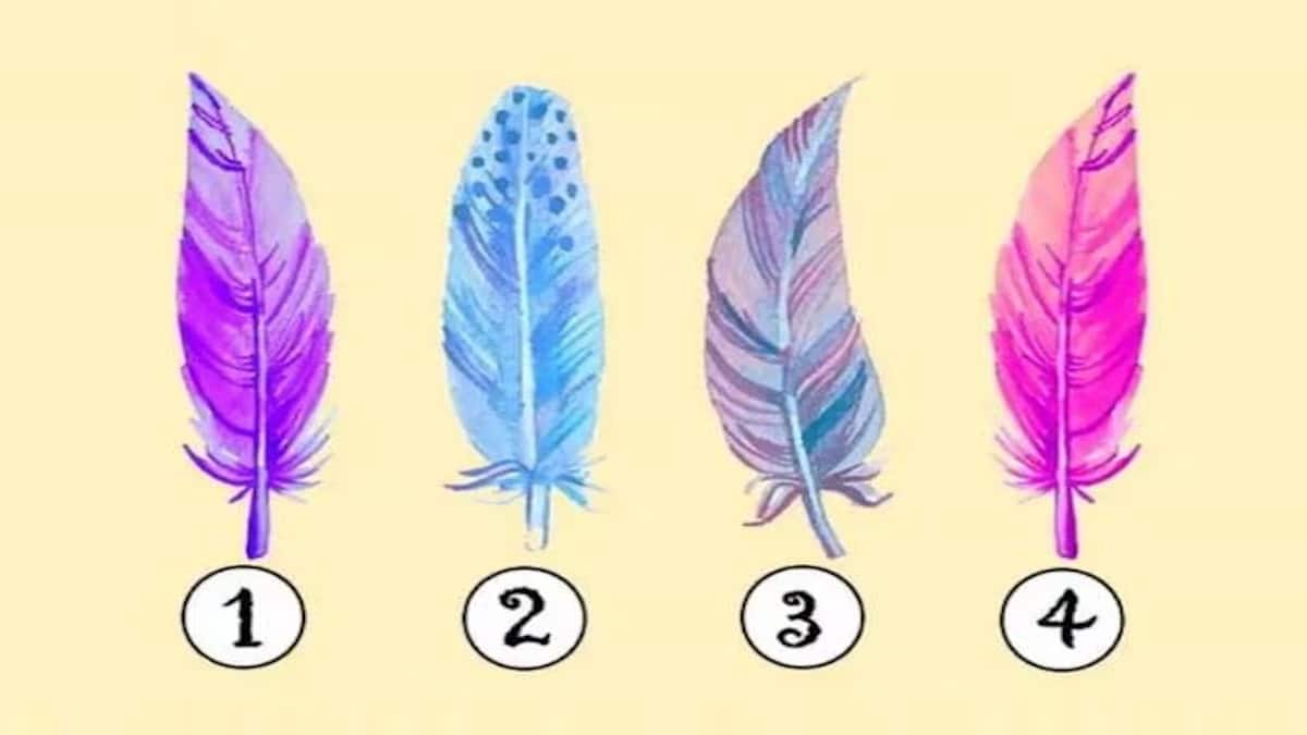 test de personnalite plume