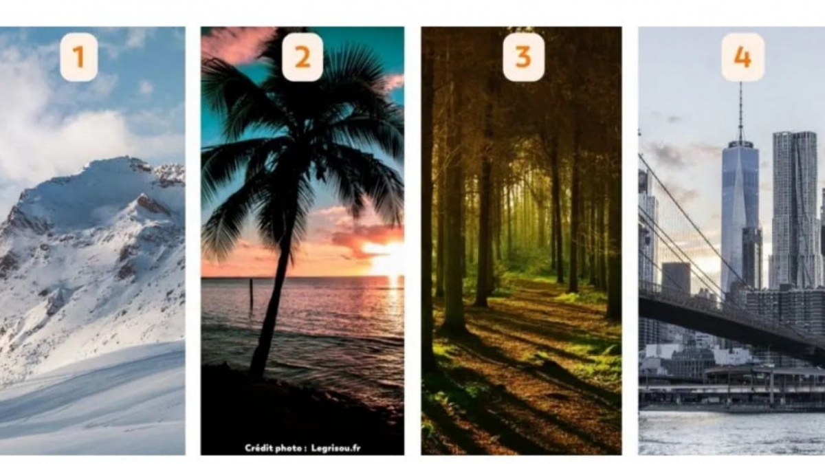 test de personnalite voyage