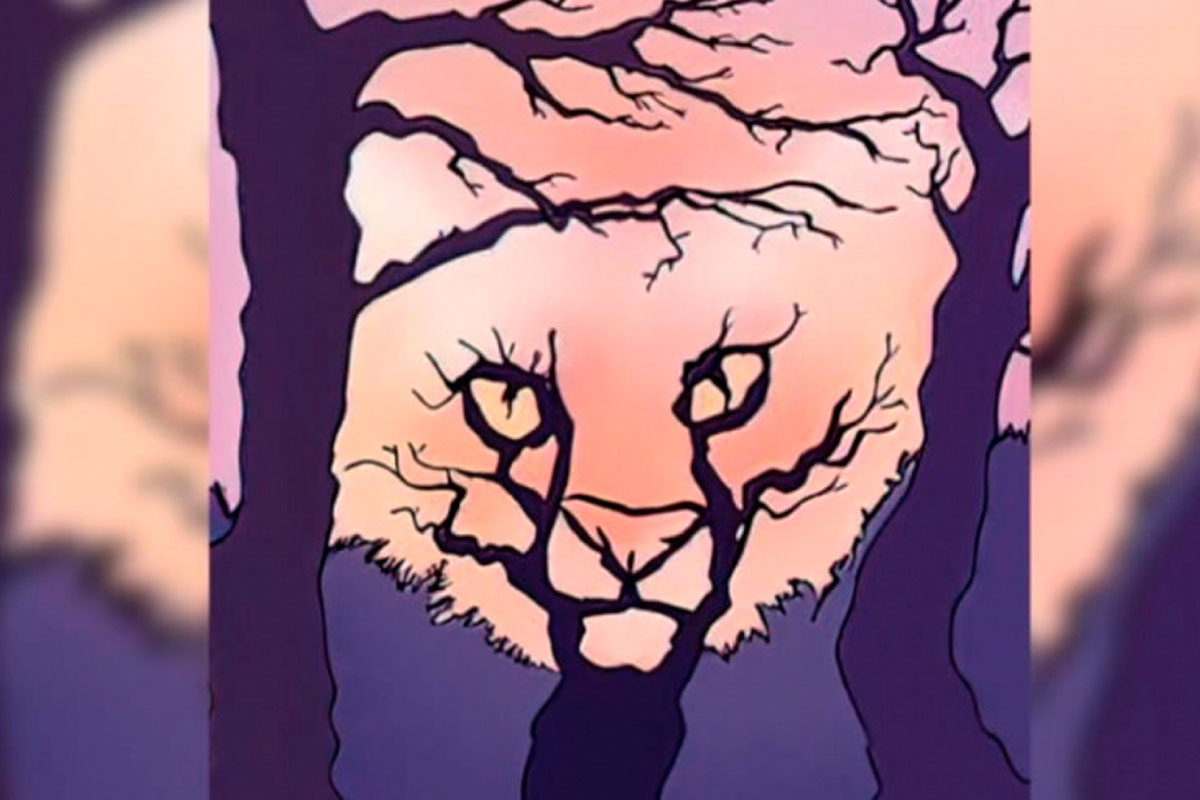 test-personnalite-illusion-optique