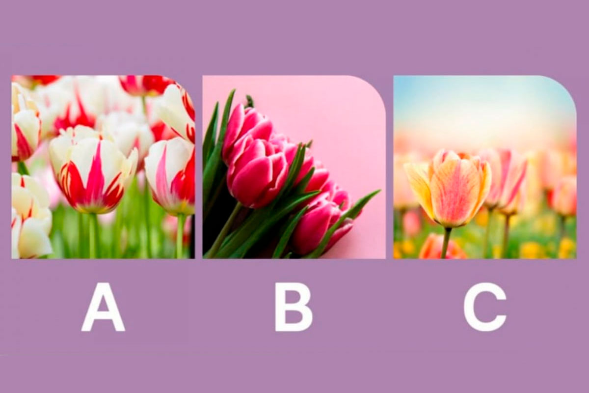 test-personnalite-tulipe