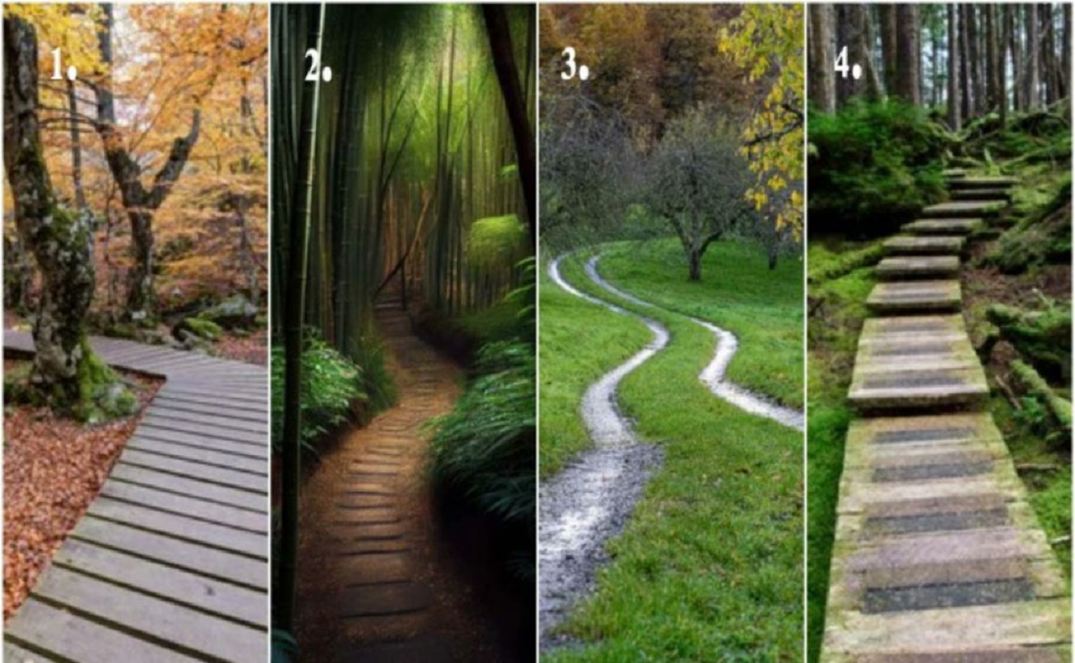 Choisissez le chemin qui vous apaise le plus et découvrez si vous aller trouver la paix