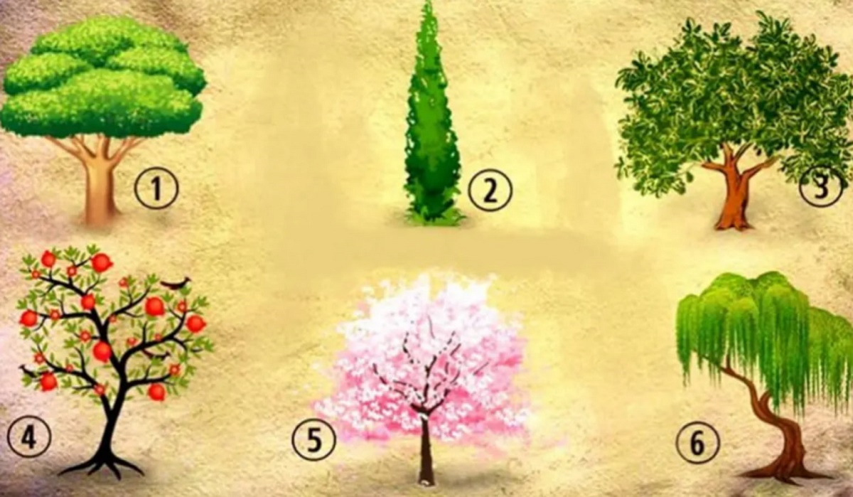 Etes-vous une personne sereine dans la vie ? Ce test de personnalité va tout vous révéler