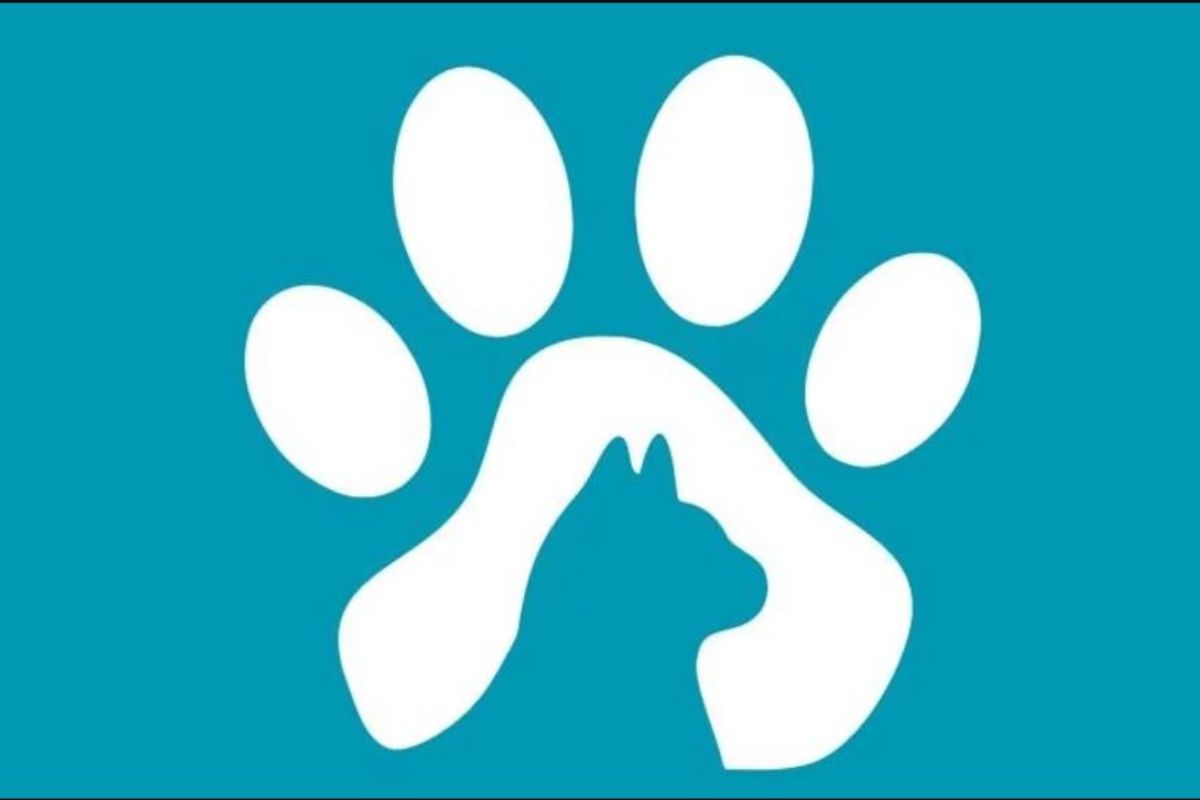 Qu'avez-vous en premier ? Découvrez enfin si vous aimez les animaux ou pas.