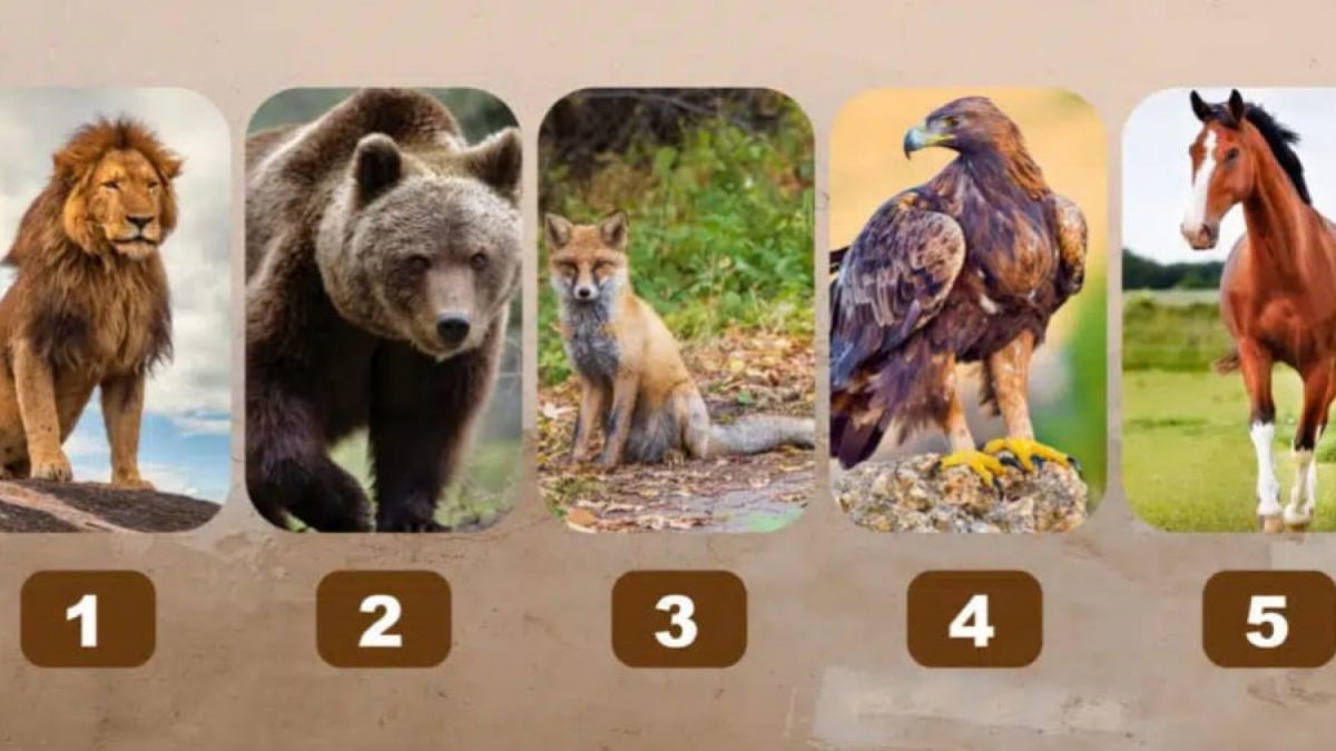 Quel animal vous correspond le plus ? Découvrez votre vraie nature dans ce test