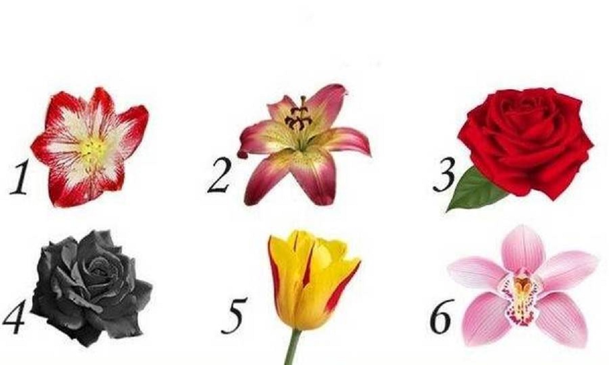 Quelle fleur choisissez-vous ? Découvrez la symbolique et ce qu'elle révèle sur vous