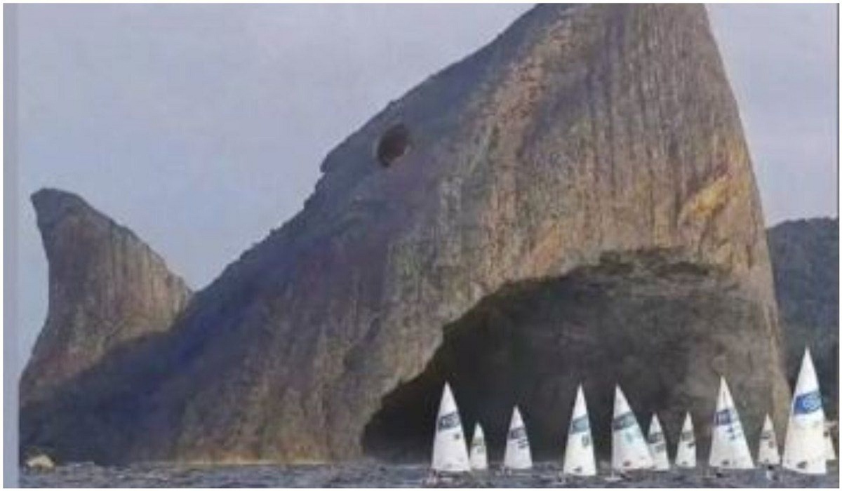 Si vous voyez le requin en 1er, la réponse à ce test de personnalité ne va pas vous plaire