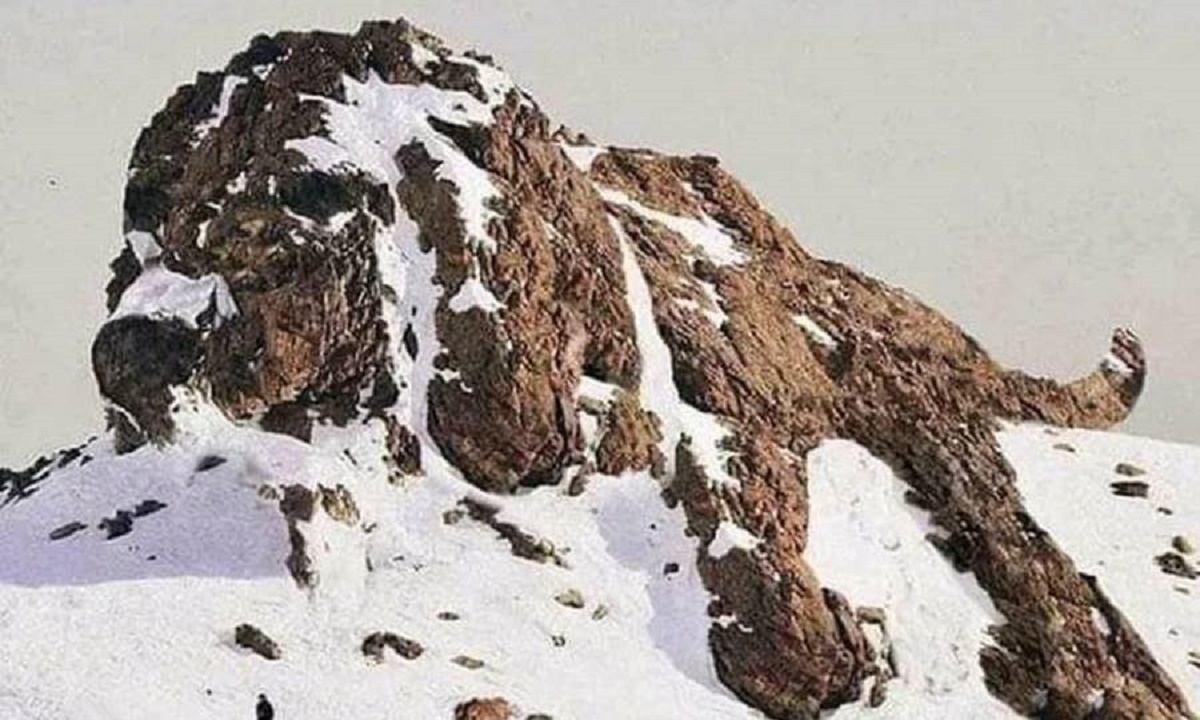 Votre esprit est-il créatif ou concret ? Cela dépend de ce que vous voyez en 1er sur l'image