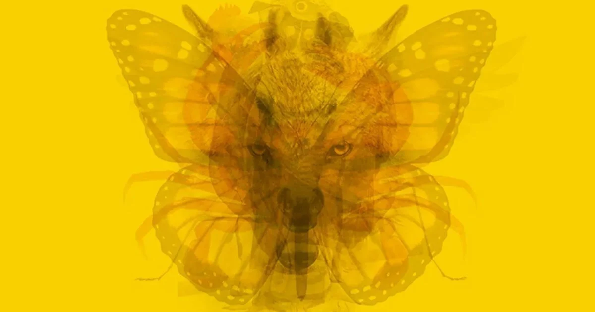 L'animal que vous voyez en 1er révèle une chose importante sur vous