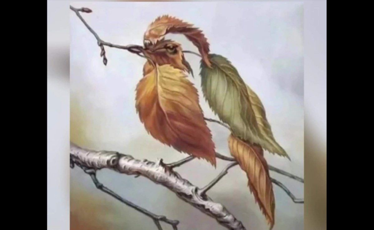 Cette illusion d’optique pourrait révéler beaucoup de choses sur vous.