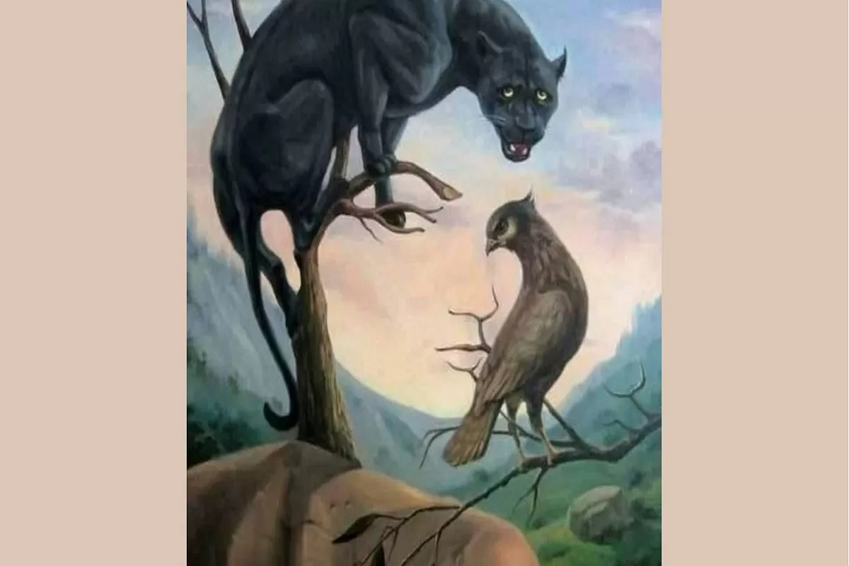 illusion d’optique révèle qualités cachés