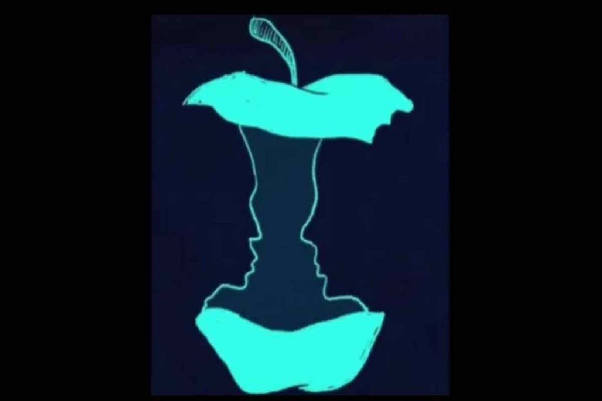 illusion d’optique logique ou émotif