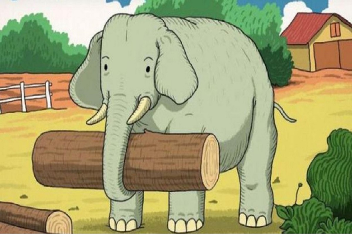 Illusion d’optique