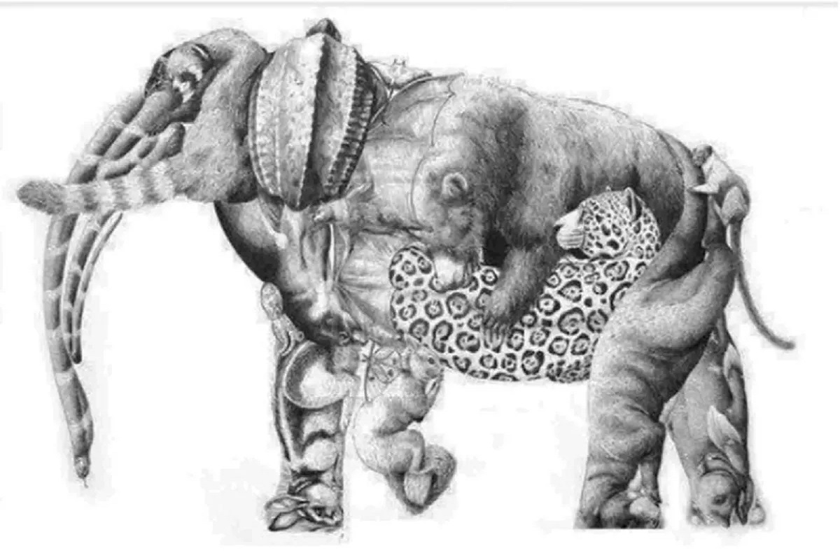 Illusion d’optique 17 animaux cachés