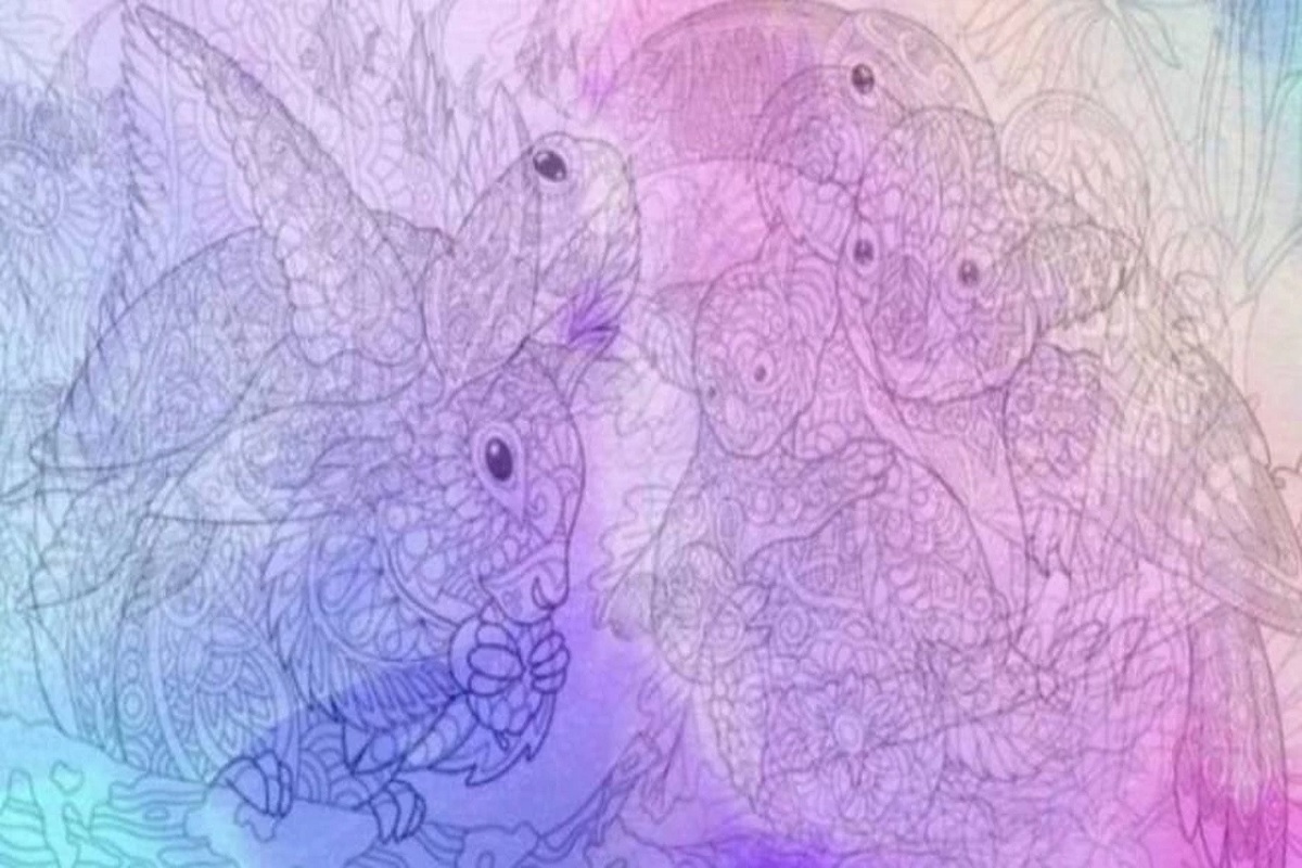 Quel animal voyez-vous en premier illusion d’optique