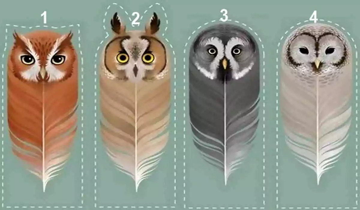 Quelle plume choisissez-vous La plus belle de vos qualités y est associée.