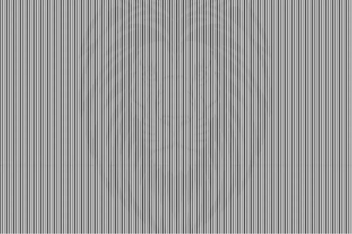 animal caché illusion d'optique