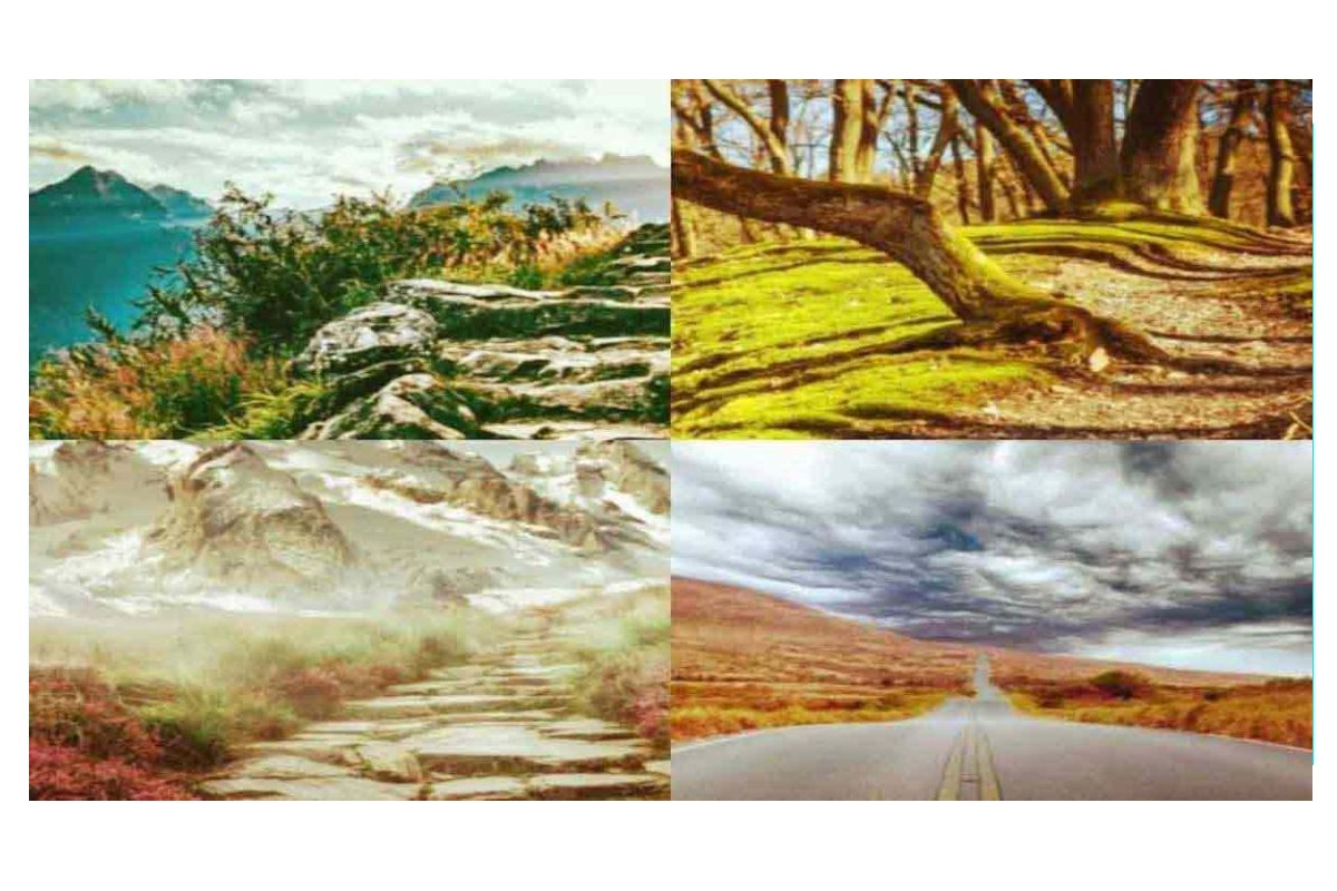 Test de personnalité chemin