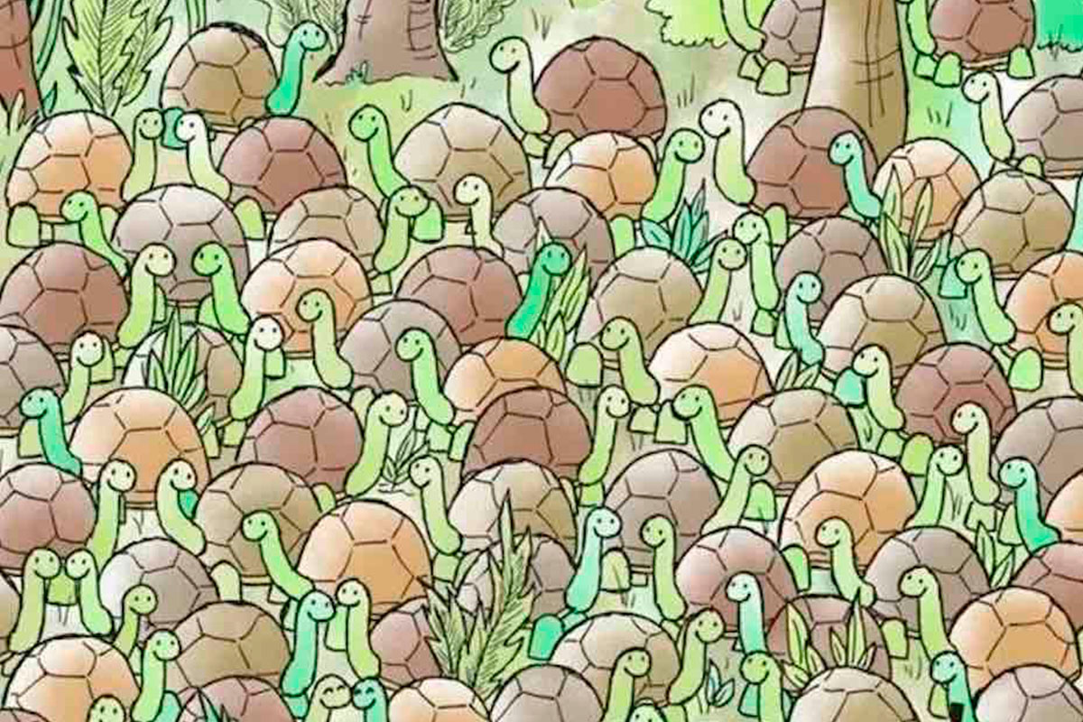 Tout le monde voit les tortues, mais il faut une très bonne vue pour trouver le serpent caché en moins de 8 secondes