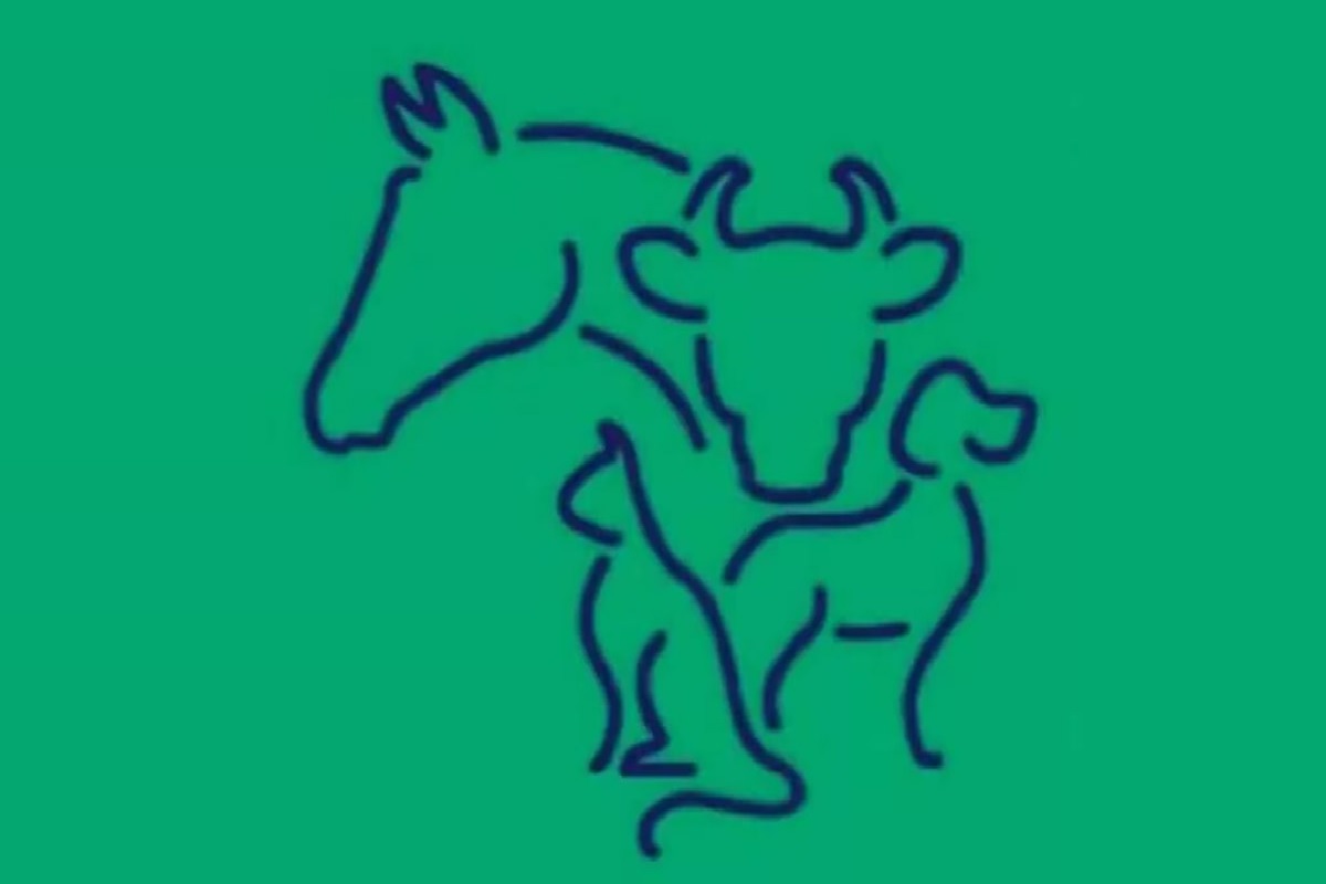 illusion d’optique honnêteté