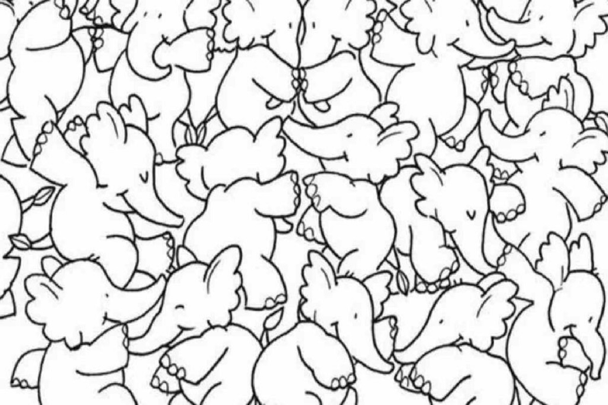illusion optique elephant
