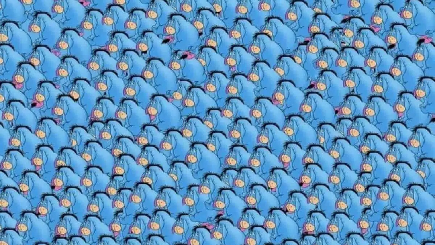 illusion optique trouver le génie caché