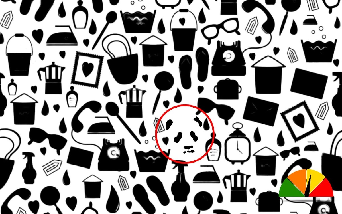 réponse défi visuel trouver le panda