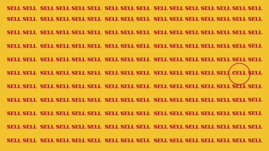 réponse défi visuel