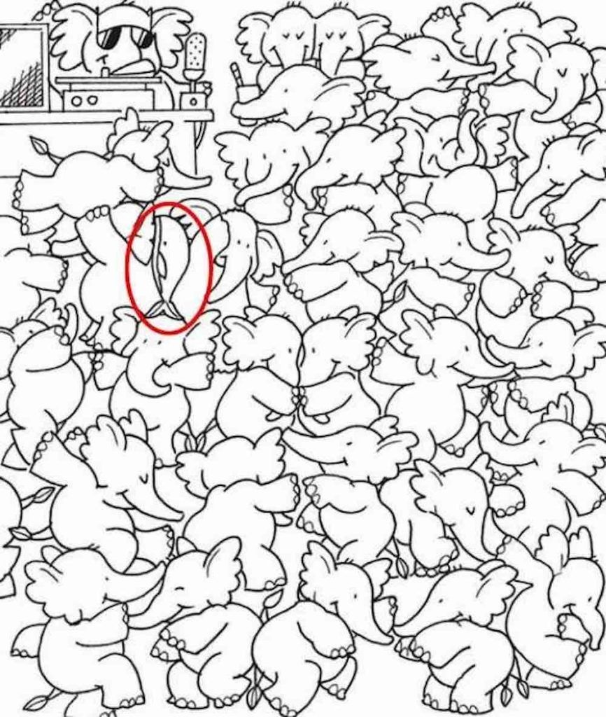 reponse illusion optique elephant