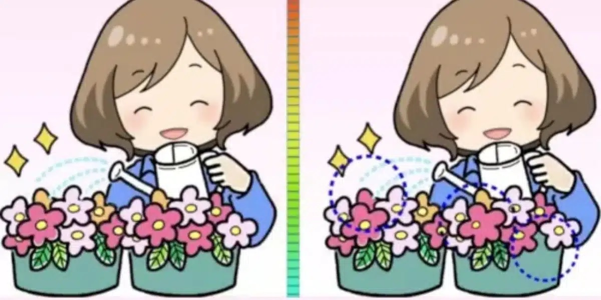 résultats test visuel