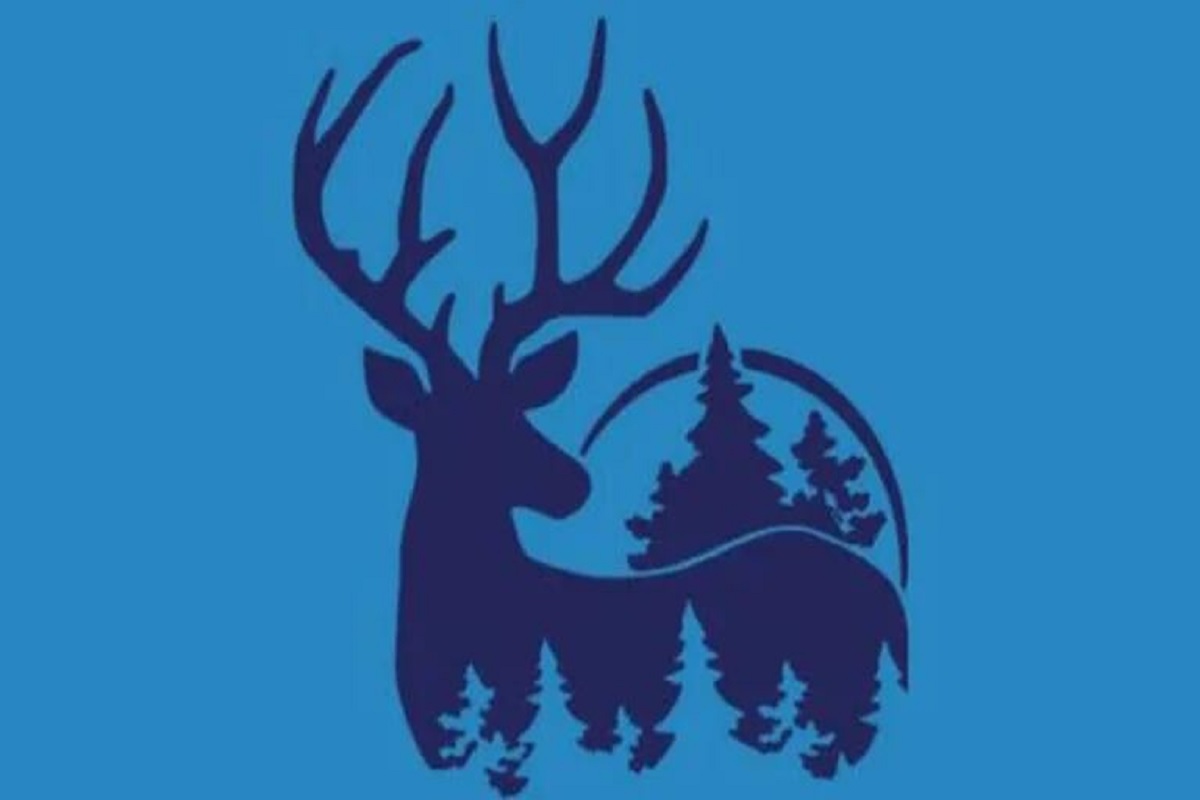 test de personnalité gentille ou autonome