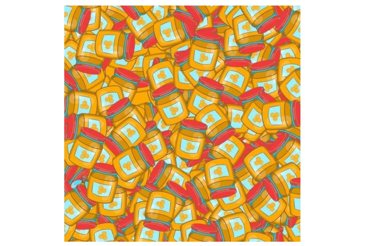 Défi visuel repérer l’insecte