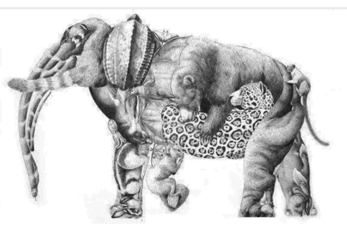 Illusion d’optique