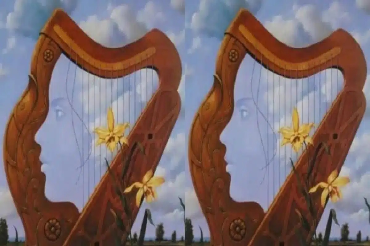 Illusion d’optique