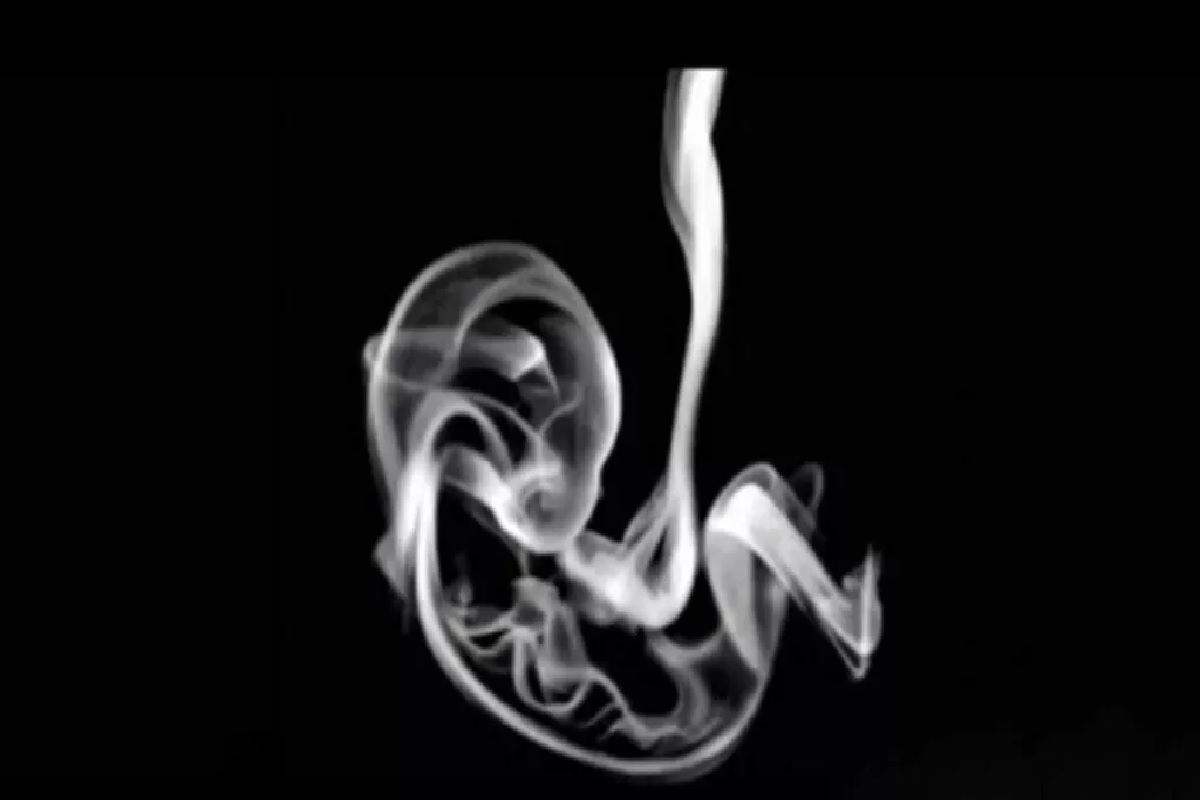 Illusion d’optique fœtus ou fumée