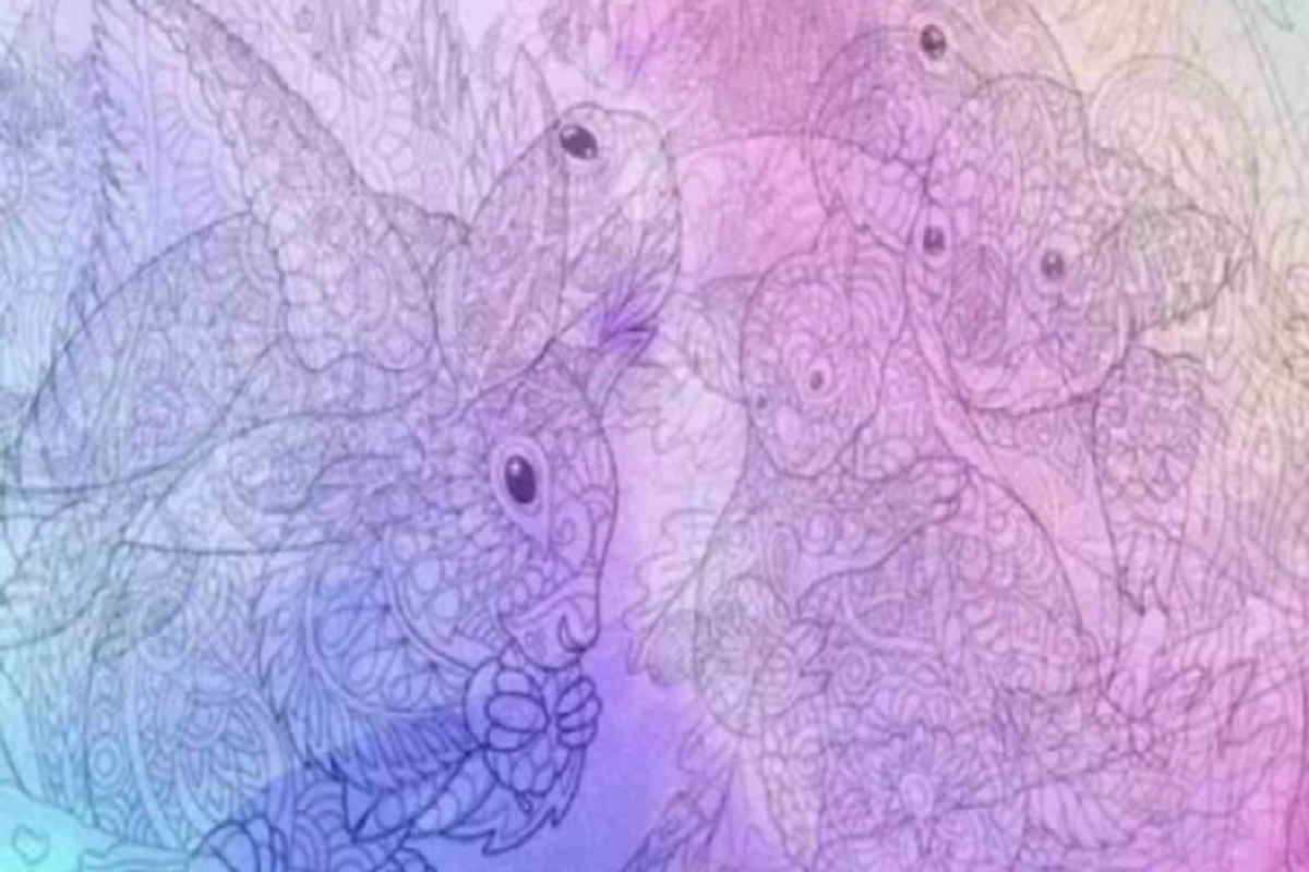 Illusion d’optique le premier animal qui attire votre attention