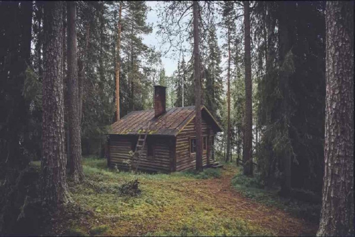 Illusion d’optique trouver l’ours caché