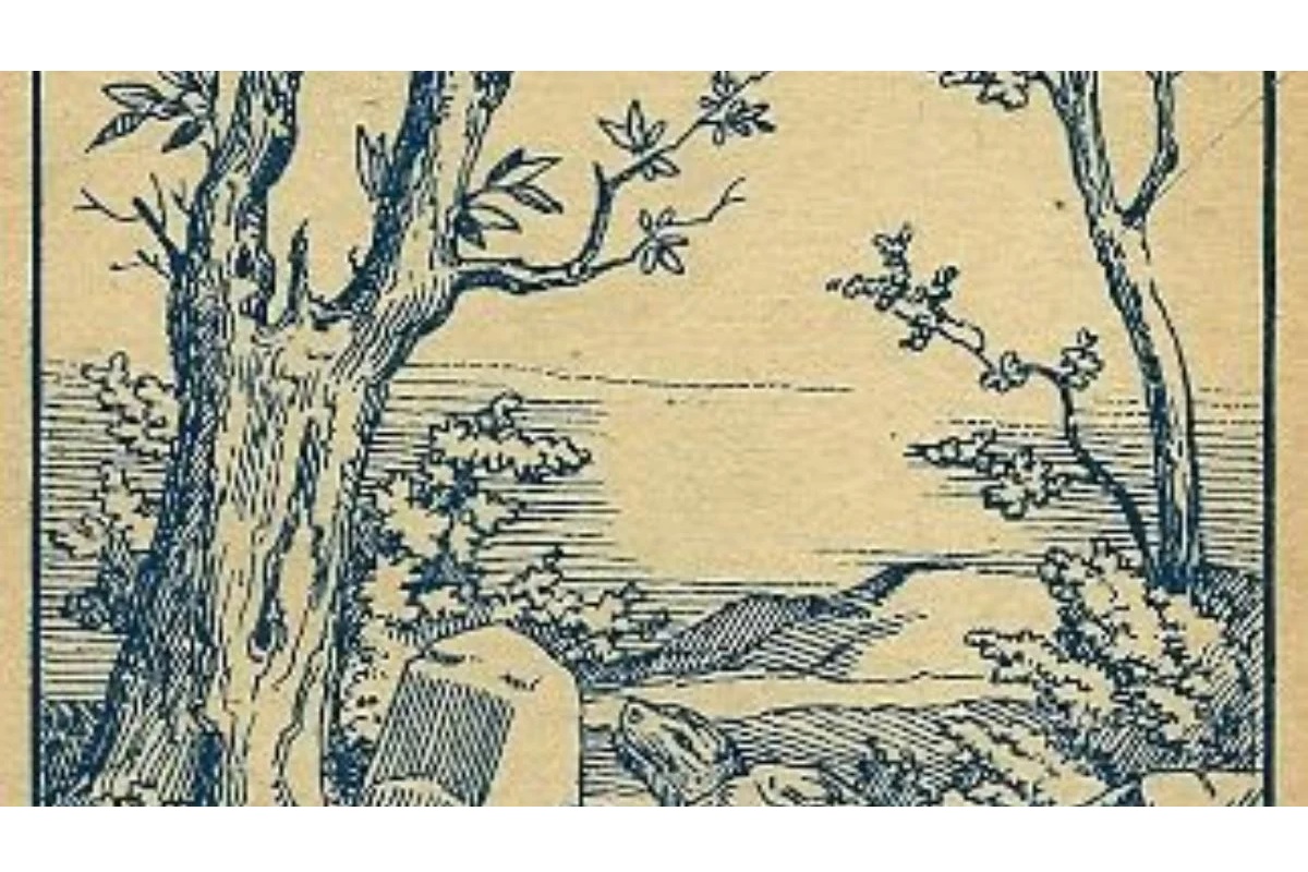 Illusion d’optique trouver un lapin