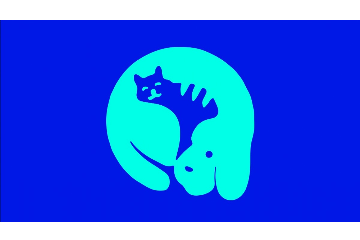 Test de personnalité : Chat ou chien