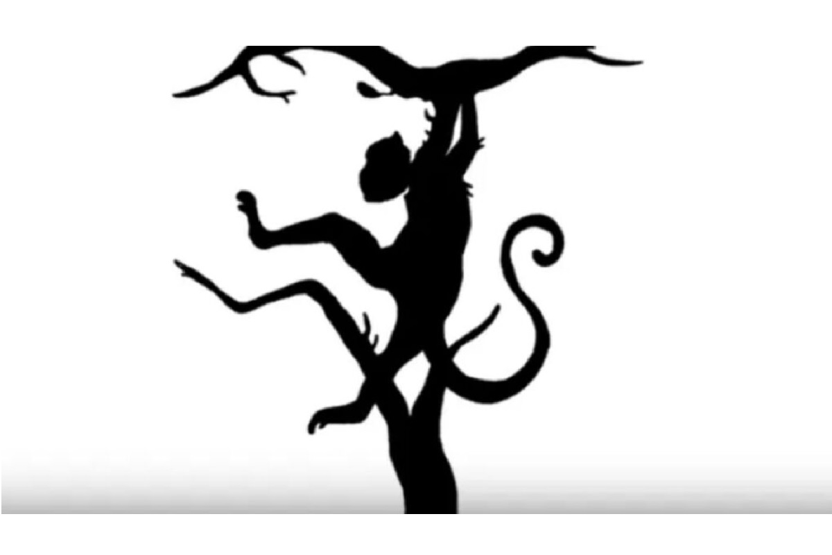 Test de personnalité animal