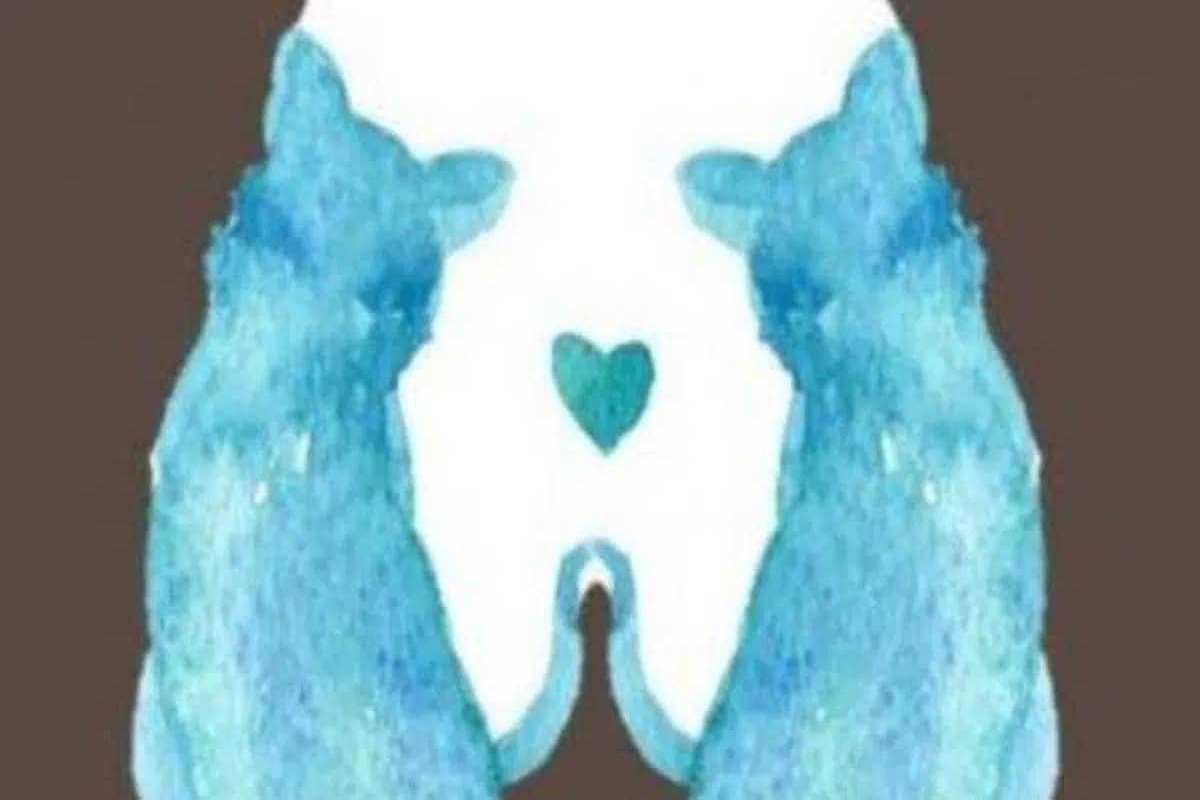 Test visuel trouver animal