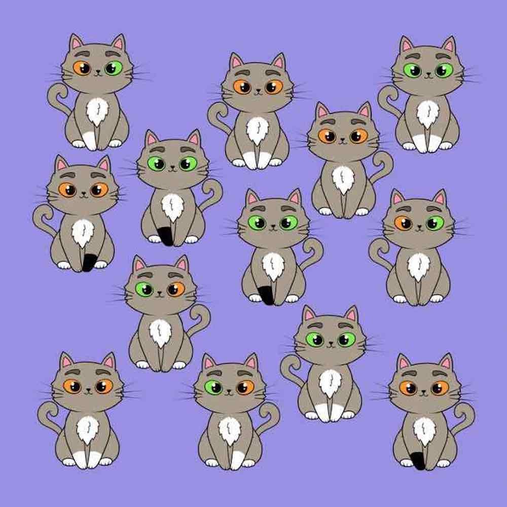 chat pas en double test