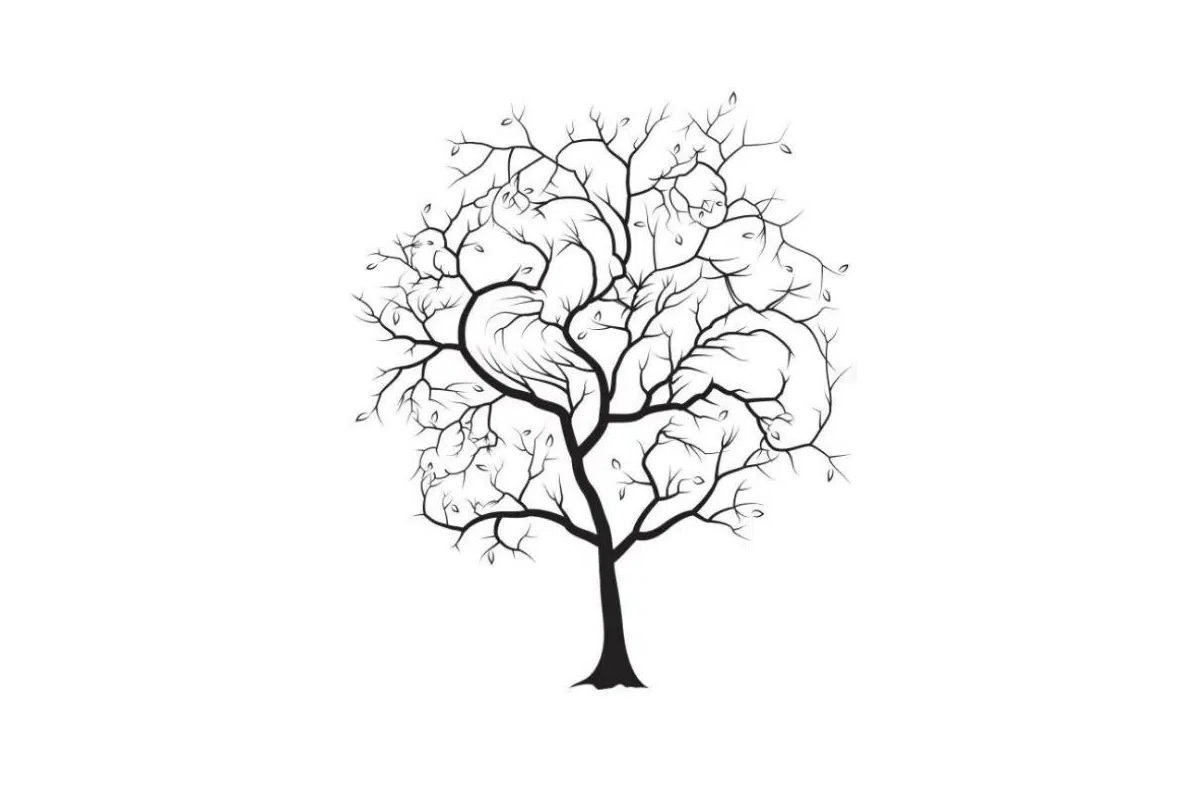 illusion optique identification 5 animaux