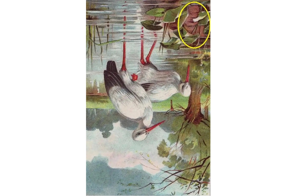 solution défi visuel enfant