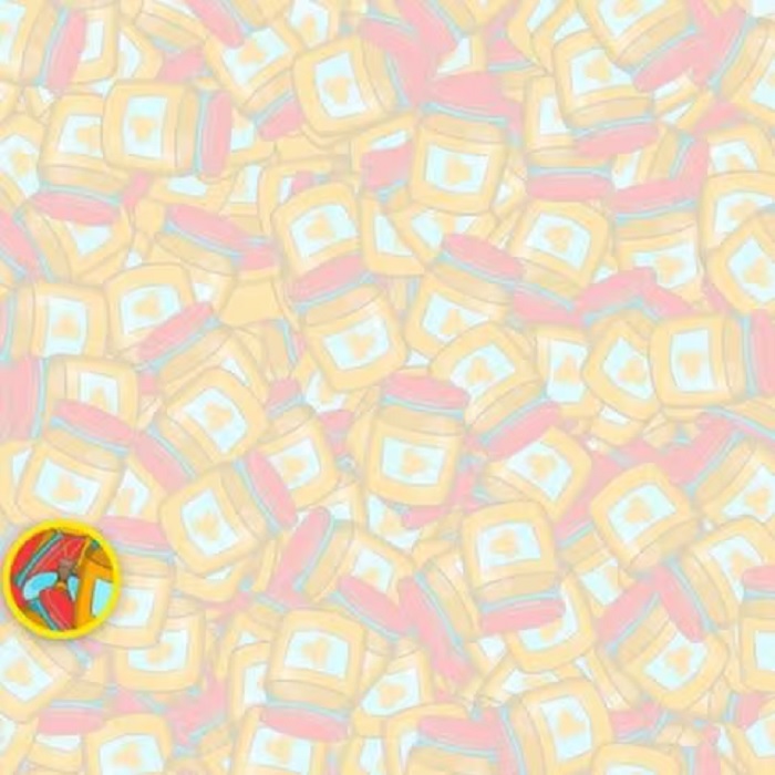 solution défi visuel insecte