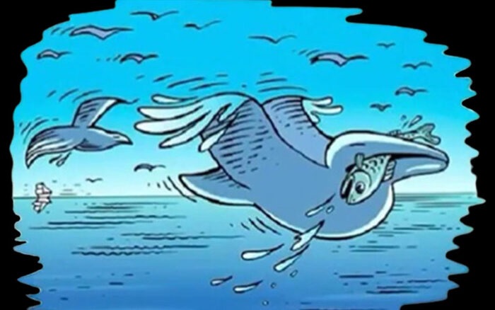 solution illusion optique 