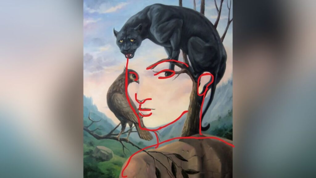 solution visage caché