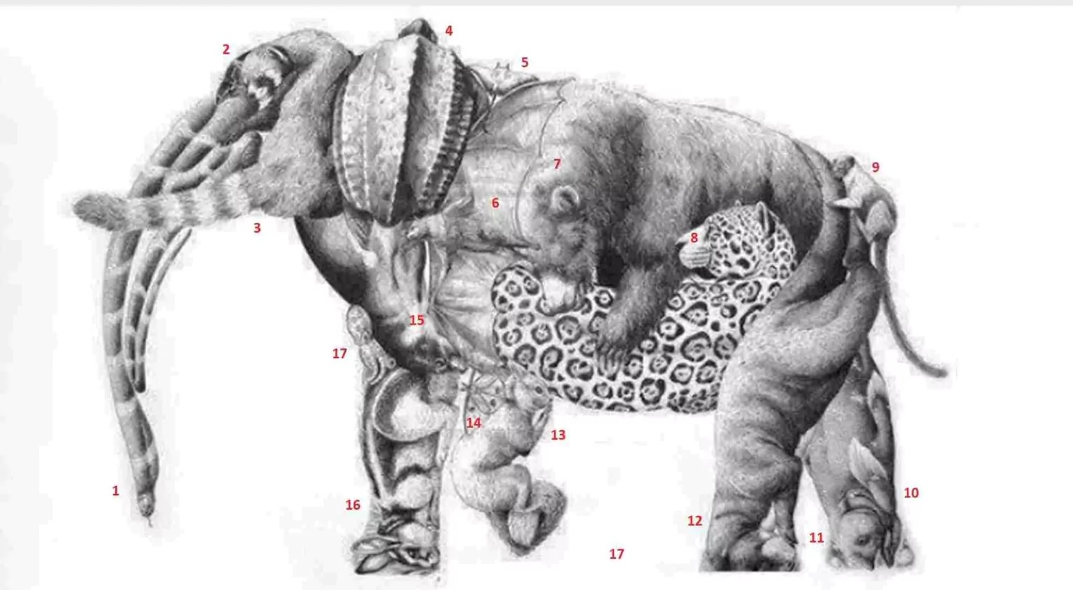 réponse test de QI visuel
